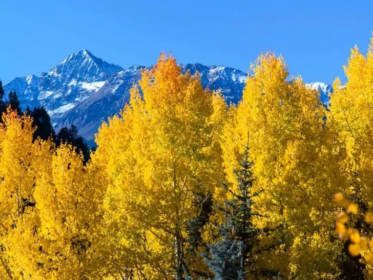 ATV and Side by Side in Colorado Fall